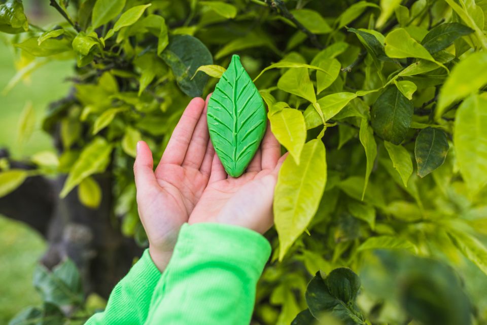 Green by design: Effective practices for a sustainable digital workplace