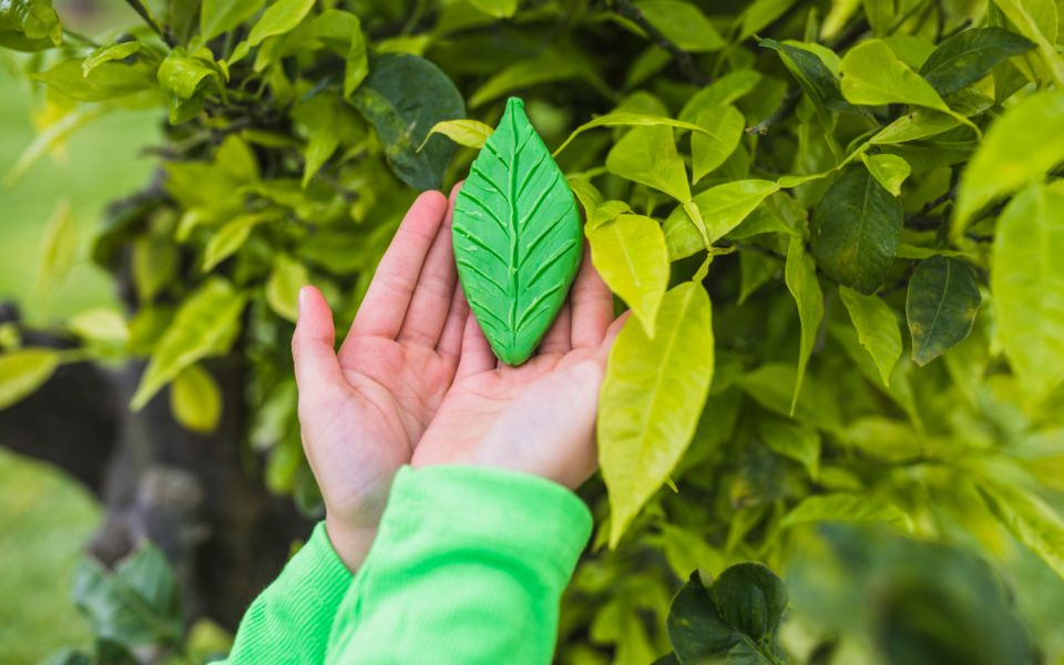 Green by design: Effective practices for a sustainable digital workplace